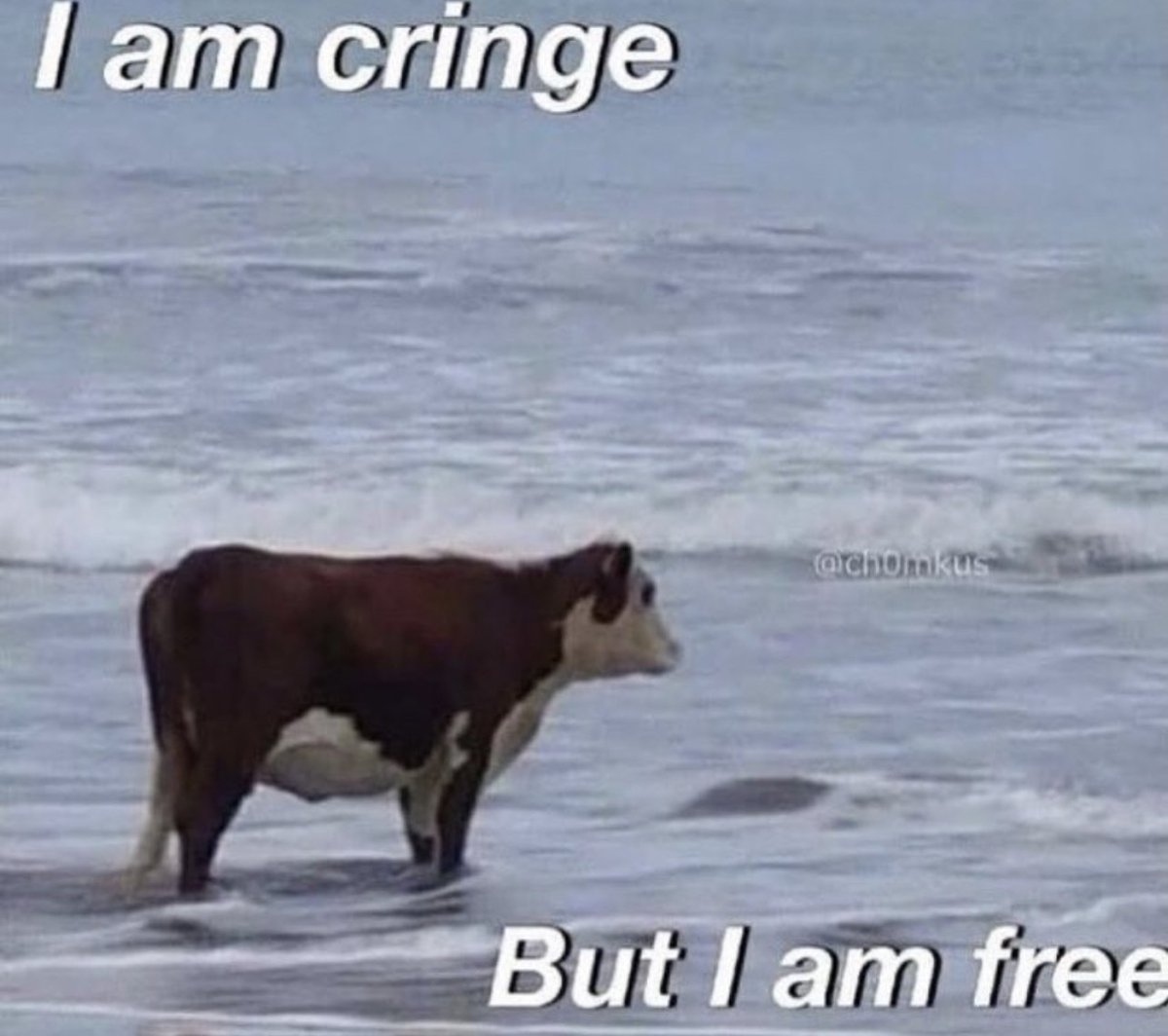 Why Everything Feels Cringe Now- And What That Says About Us