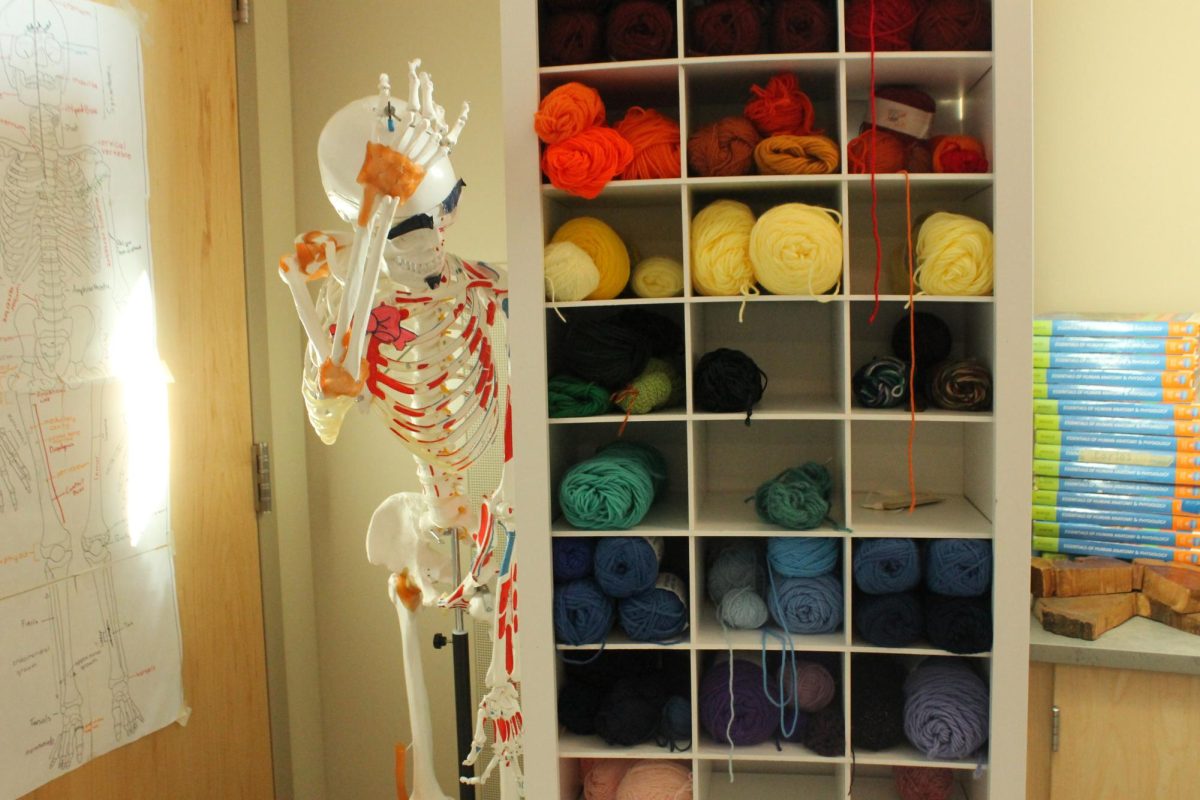 A shelf filled with different colors of yarn in the Crochet Club room. 