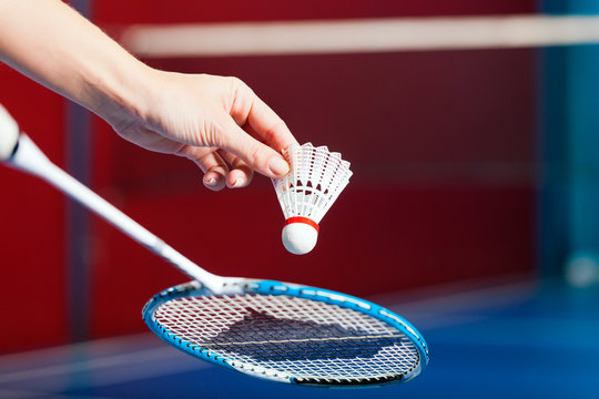 Badminton Advisory: Let's Rack-et up some fun!